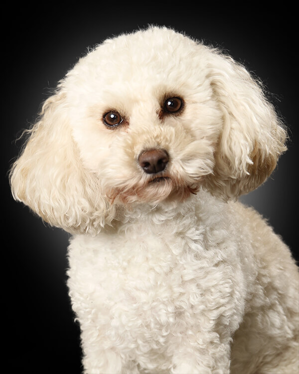 profile-picture-lulu